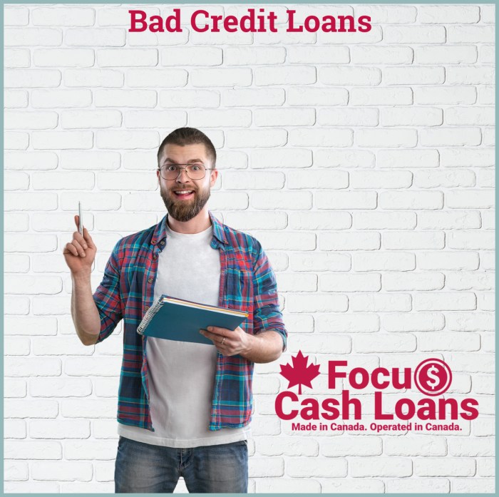 Loan loans Loan loans